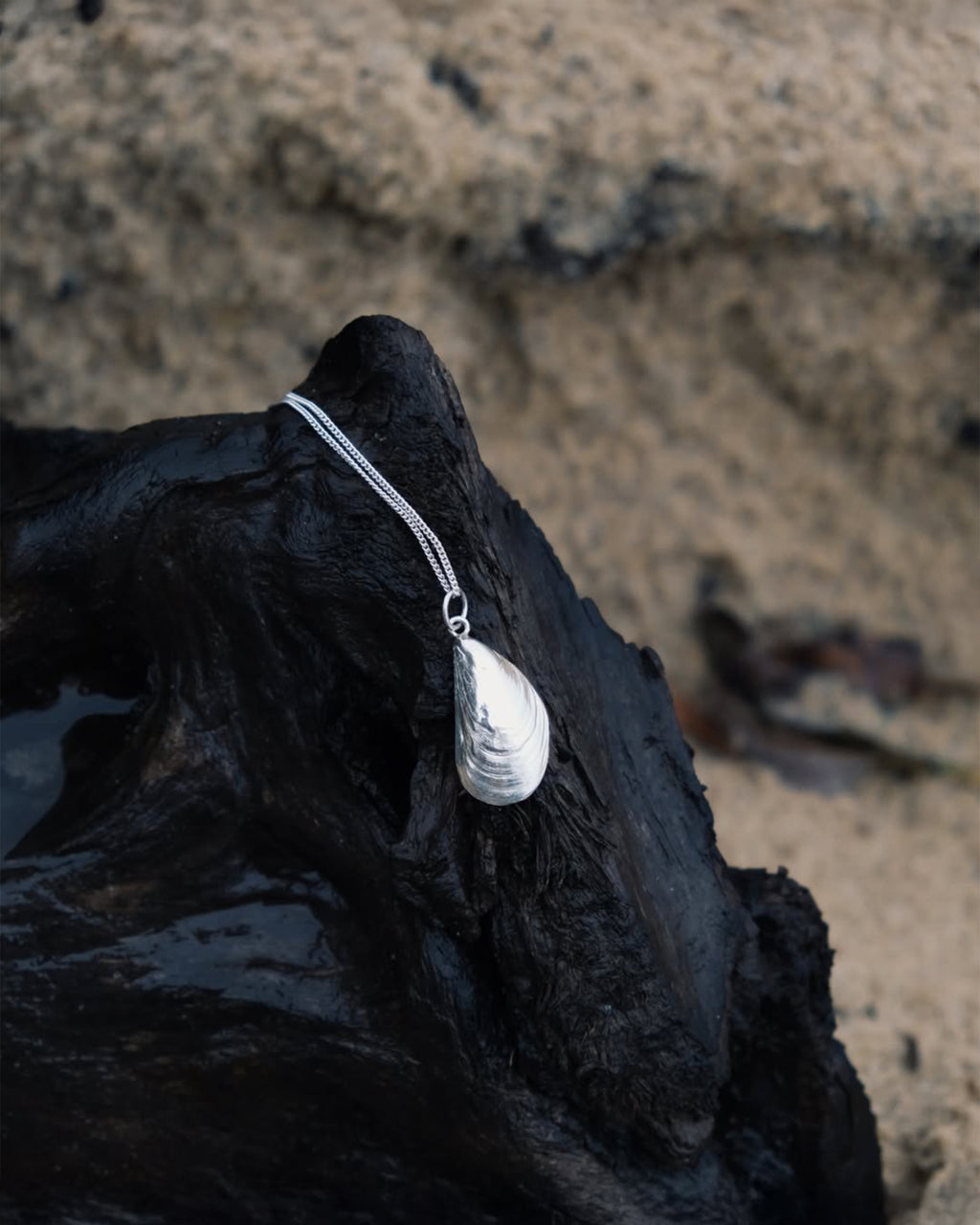 Підвіс Мушля
