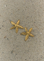 Сережки Starfish Standart