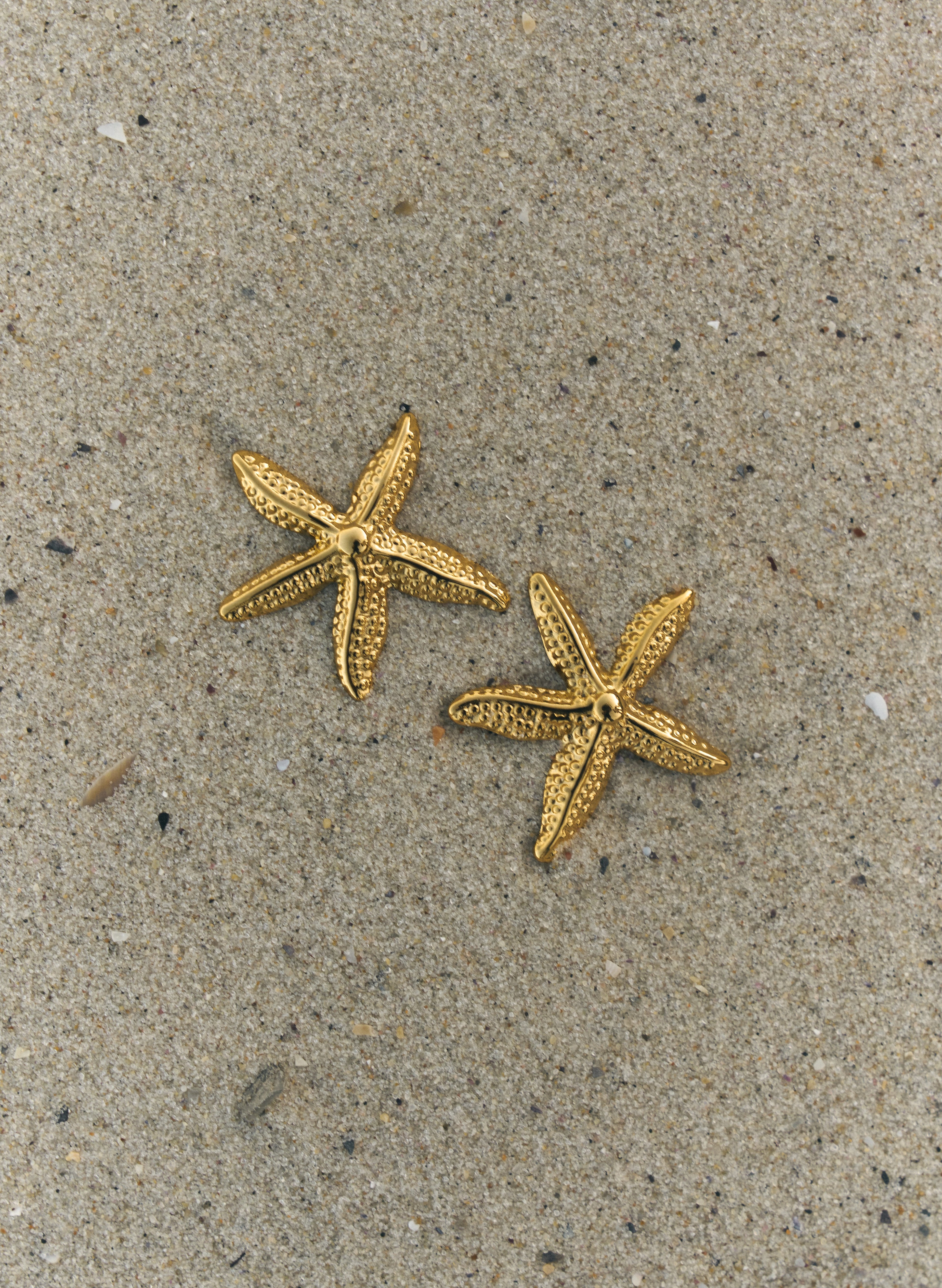 Сережки Starfish Standart