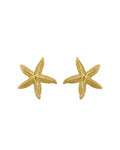 Сережки Starfish
