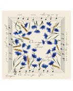 Scarf "Oh, don't go, Grits"